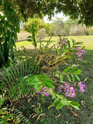 Imagem Terreno de 2.600 m² - Village em Atibaia.