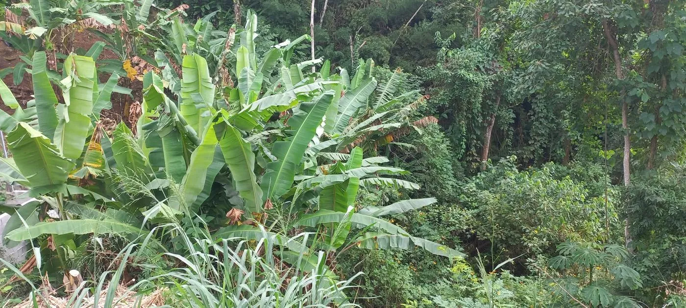 Imagem Terreno para Venda em São Sebastião, São Francisco da Praia