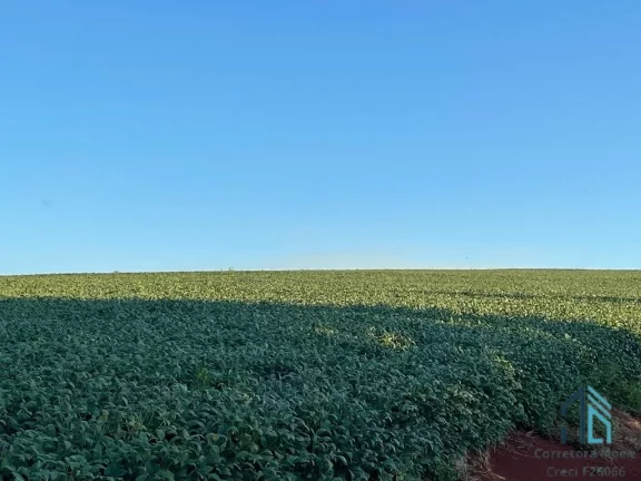 Imagem Sítio lindo a venda em ótima localização linha União da Serra em Guaraniaçu - PR