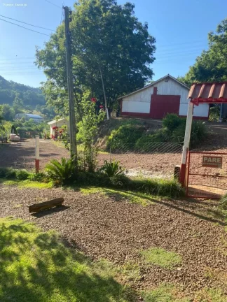 Imagem Área para Venda em Cordilheira Alta, Interior, 3 dormitórios, 1 banheiro, 2 vagas
