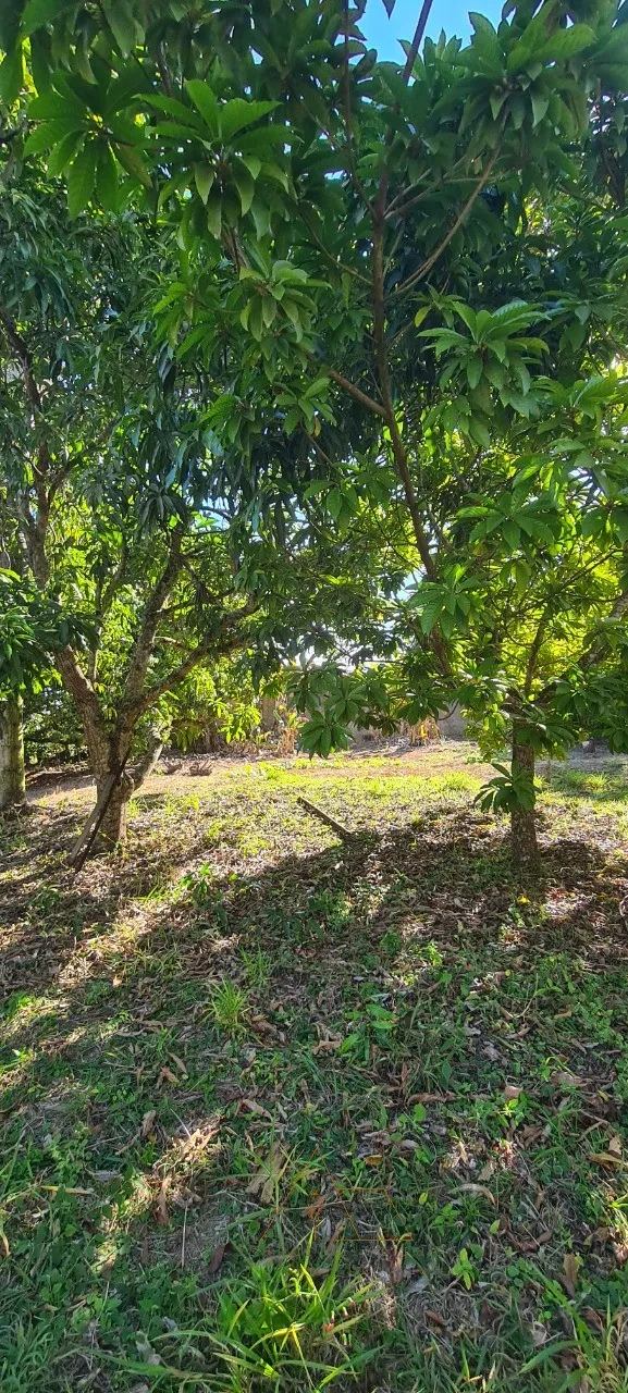 Imagem Chácara à venda em Quadra-SP, bairro Aleluia: 3 quartos, 1 sala, 2 banheiro, 120,00m² de área. Imperdível!