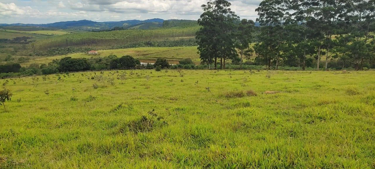 Imagem endo uma excelente fazenda em Desterro de Entre Rios com 277 hectares de terra