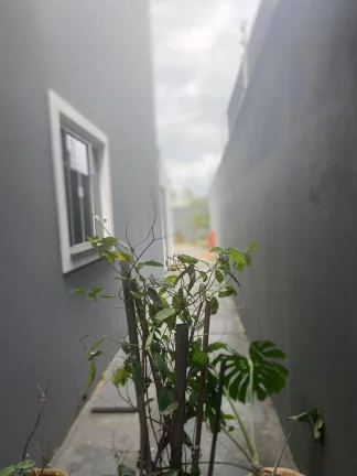 Imagem GEMINADO SOBRADO COSTA E SILVA