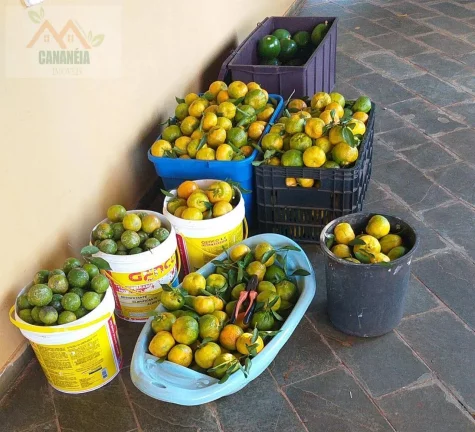 Imagem TERRENO JARDIM CANANÉIA
