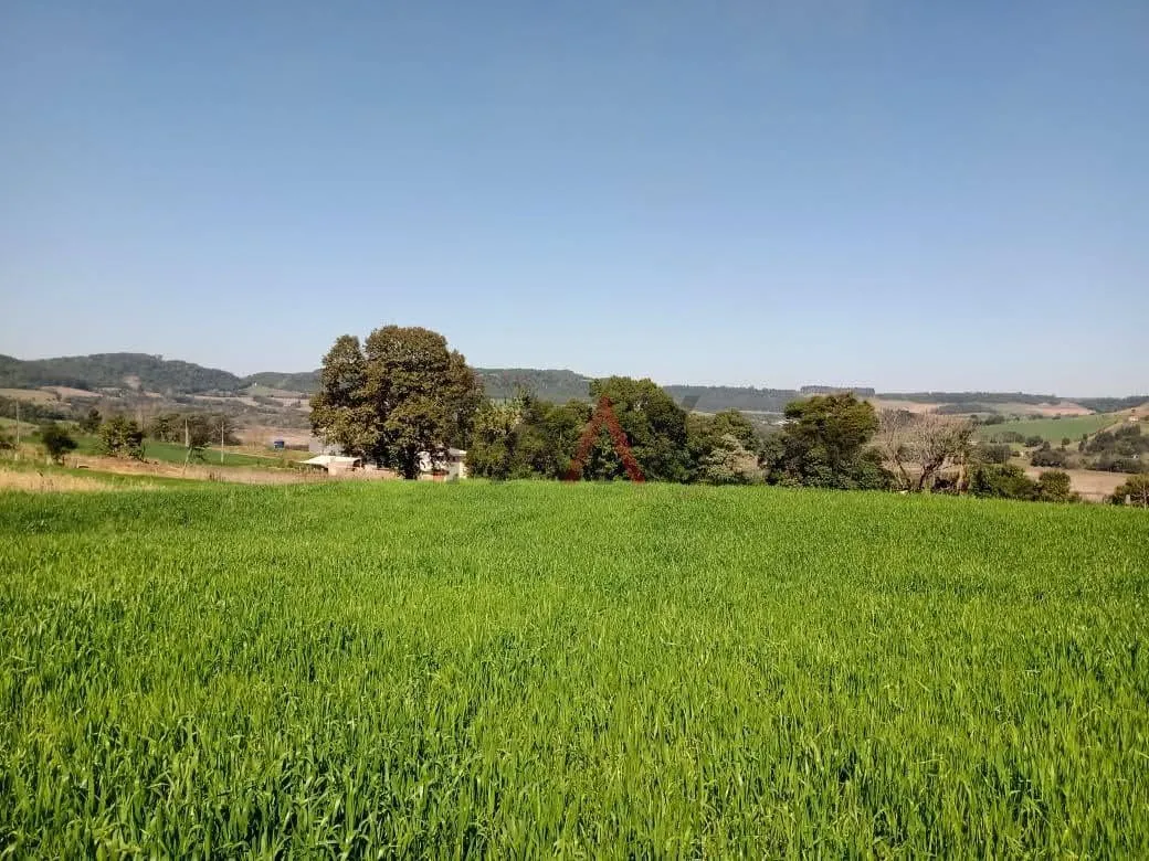 Imagem Lotes a partir de 2.630m² à venda, Jardim Iguaçu - Candói - PR