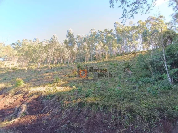 Imagem Área à venda, 145200 m² por R$ 1.300.000,00 - Bom Jardim - Camanducaia/MG