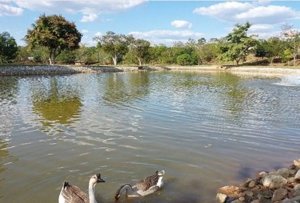 Imagem Casa à venda 3 Quartos, 3 Suites, 5 Vagas, Fazenda Itapecerica, Taubaté - SP | Quinta das Palmeiras
