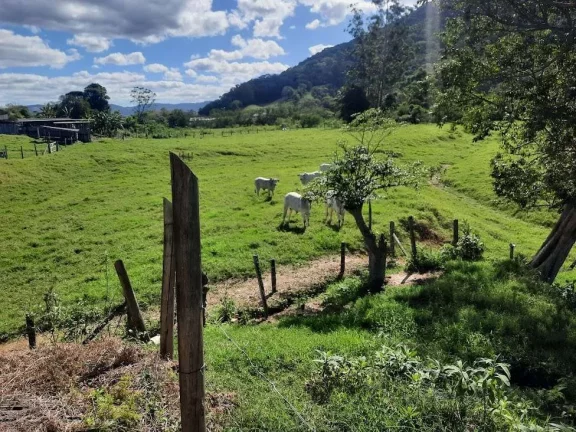 Imagem Terreno à Venda, 36.846 m2, com Viabilidade para Loteamento. Sul do Rio, Santo Amaro da Imperatriz, SC
