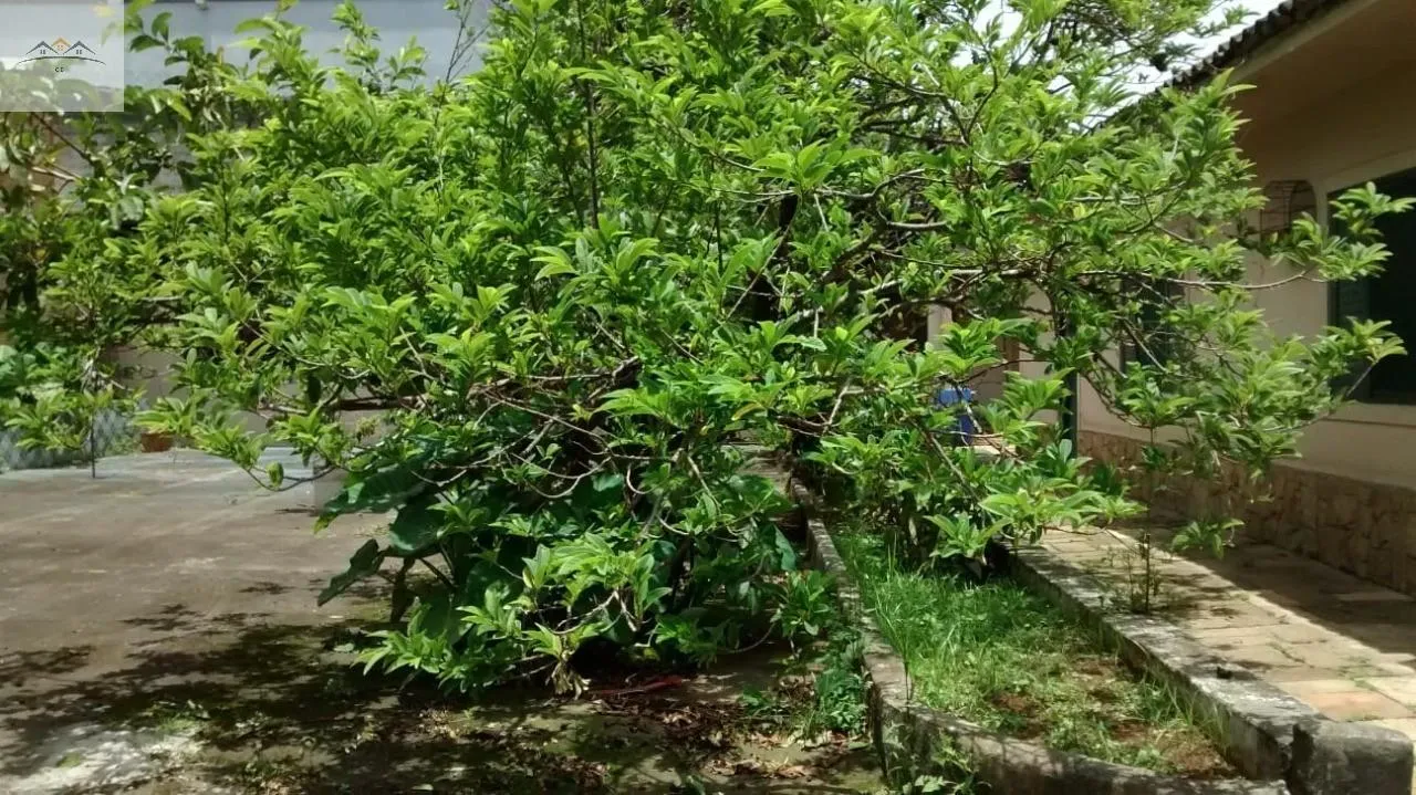 Imagem TERRENO RESIDENCIAL em Diadema - São Paulo, Serraria