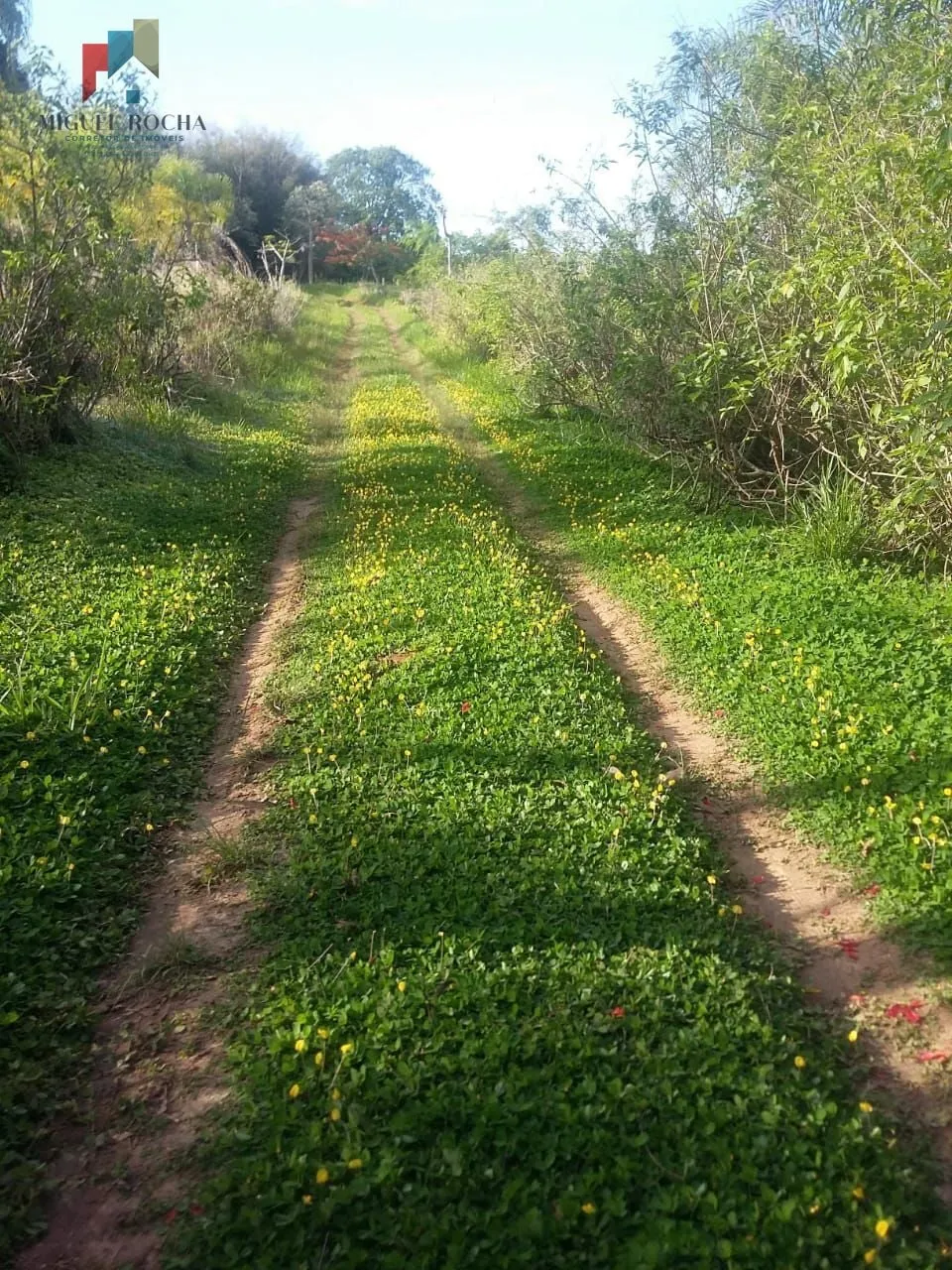 Imagem Sítio a venda em Tatuí SP