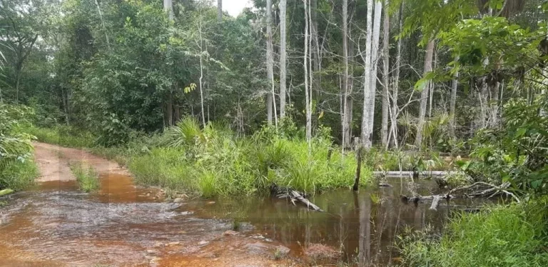 Imagem CASAL IMÓVEIS VENDE FAZENDA 4.095 ALQUEIRES - ARAGUAÍNA/TOCATINS