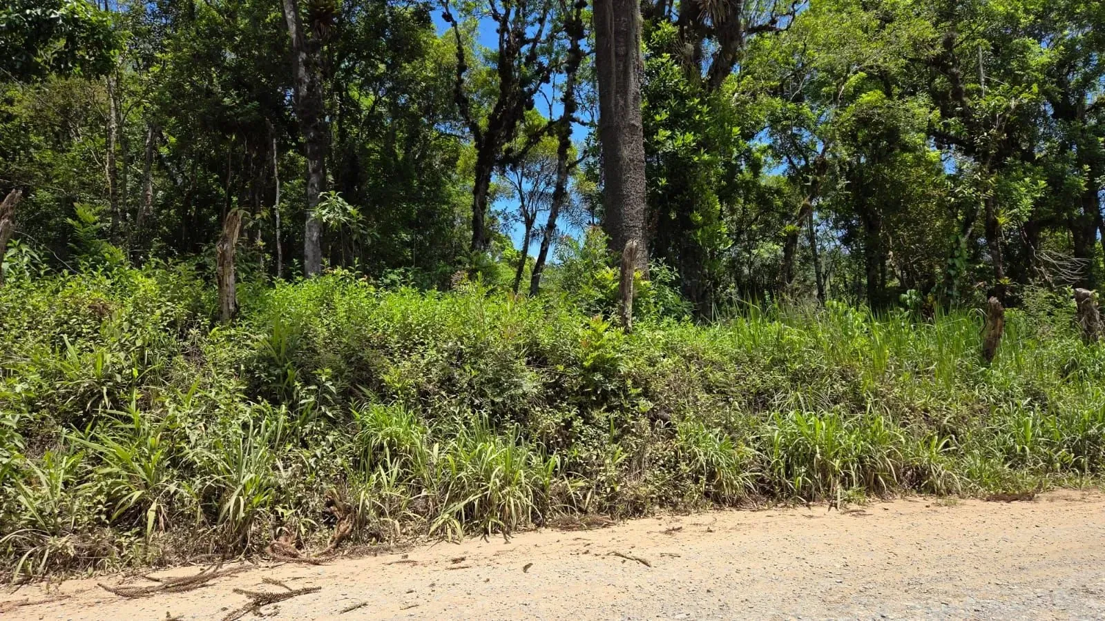 Imagem Terreno à Venda, 1000 metros em Verava - Ibiúna