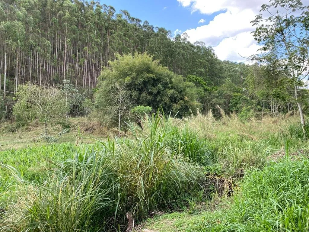 Imagem Comercial à venda 8677M², Zona Rural, Silveiras - SP