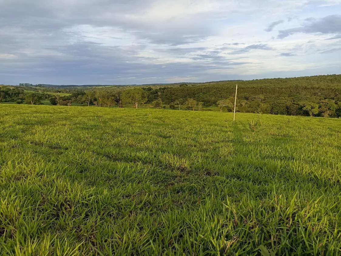 Imagem Terreno a venda de 24,3 hectares às margens do Rio Picão