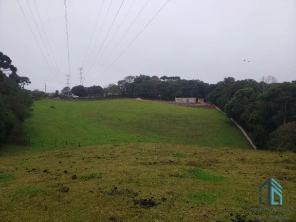 Imagem Chácara cercada, área de pasto, luz, água, com 21.685,00 m² em São José dos Pinhais - PR
