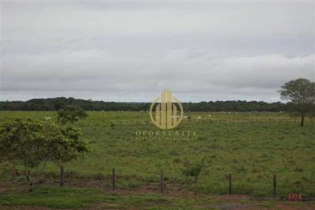 Imagem Fazenda em São Miguel do Araguaia à venda, - Centro - São Miguel do Araguaia/GO