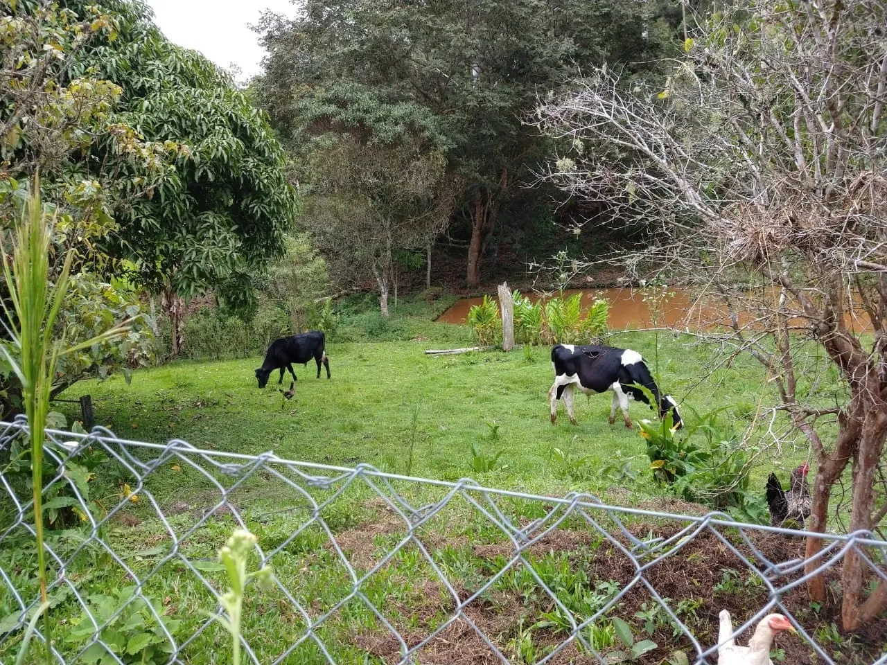 Imagem Chácara à venda 5 Quartos, 1 Suite, 10 Vagas, 24000M², Zona Rural, São Luiz do Paraitinga - SP