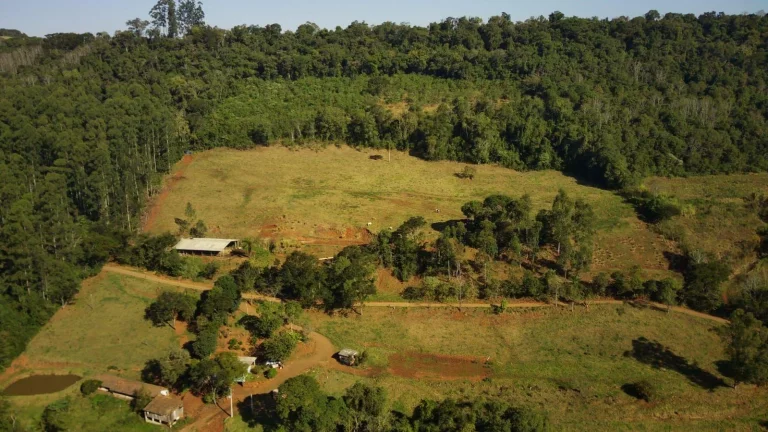 Imagem Área Agrícola para Venda em Itá, Sc-154