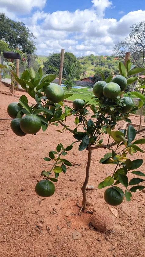 Imagem Linda chácara à venda em Contagem/MG com 2.400 m² em condomínio fechado