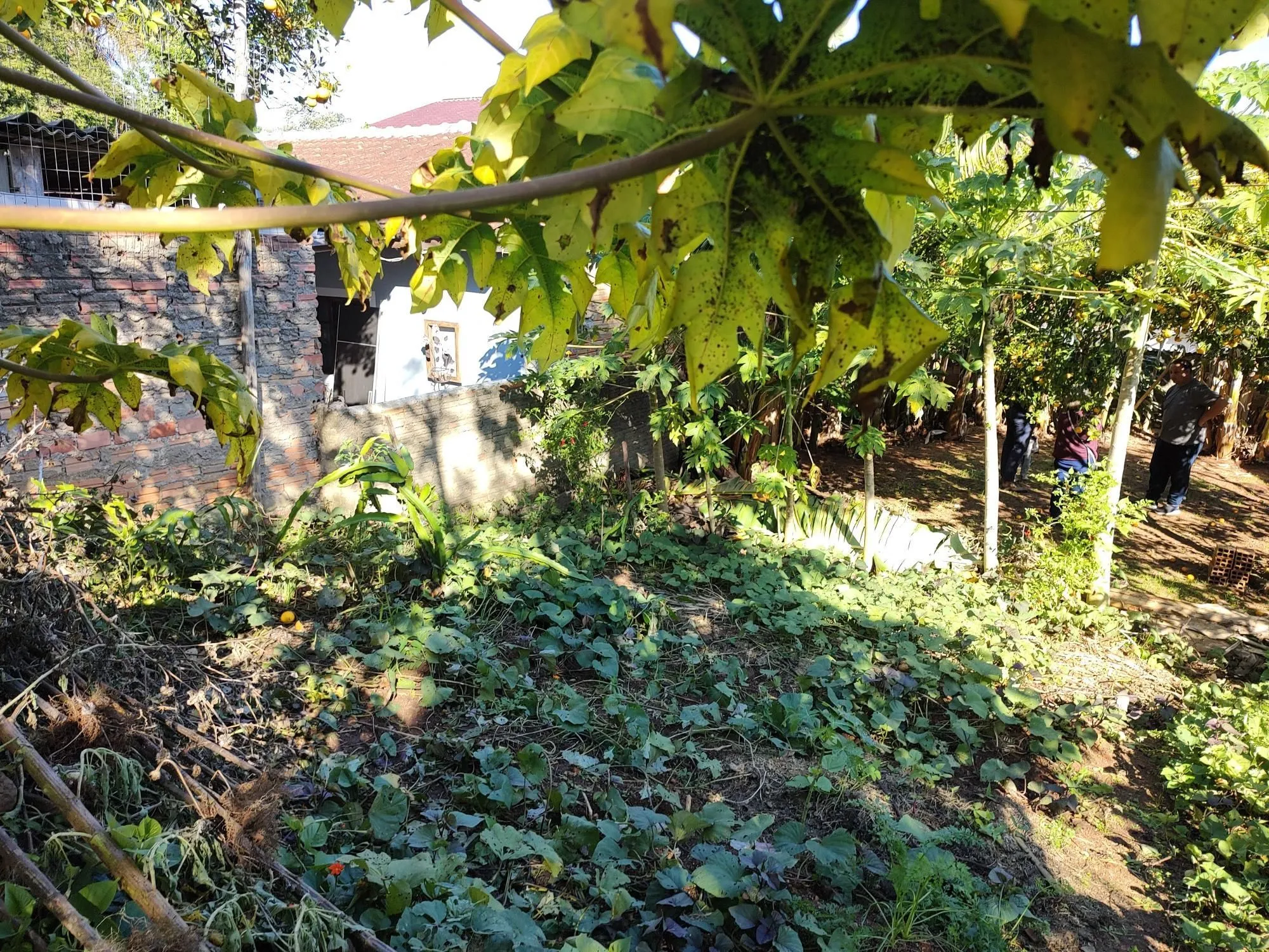 Imagem Casa térrea 90m² privativos, 2 quartos 1 vaga coberta - Espírito Santo