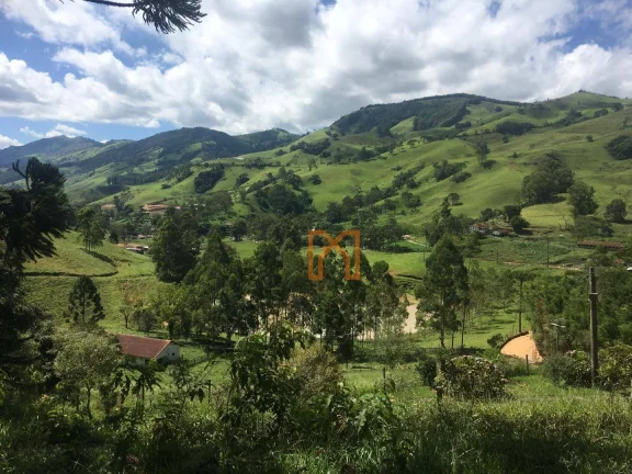 Imagem Fazenda com 4 dormitórios à venda de 303 hectares - Zona Rural - Delfim Moreira/MG