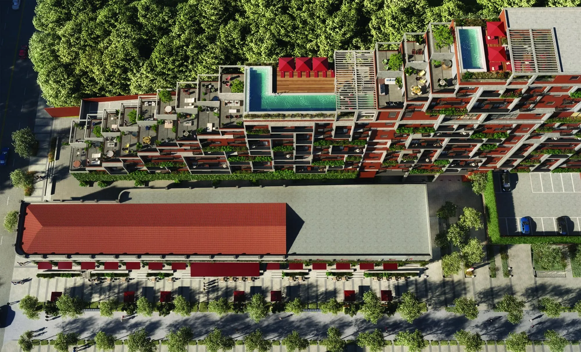 Imagem 4D Complex House
