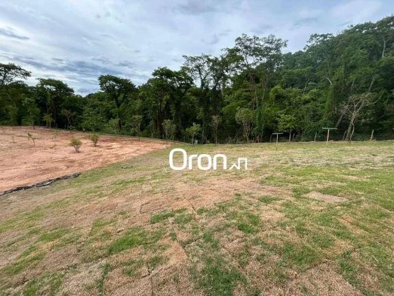 Imagem Terreno à venda, 5.809 m² por R$ 12.000.000 - Residencial Aldeia do Vale - Goiânia/GO