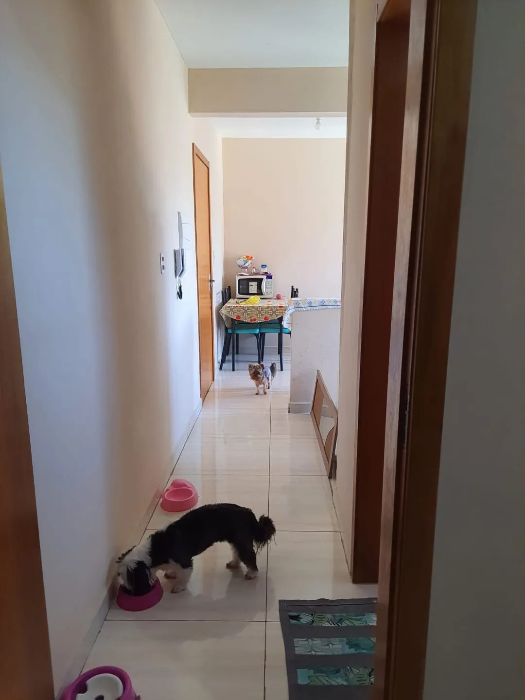 Imagem Apartamento à venda 2 Quartos, 1 Vaga, 50M², Jardim Eloyna, Pindamonhangaba - SP | Edificio Roma Village