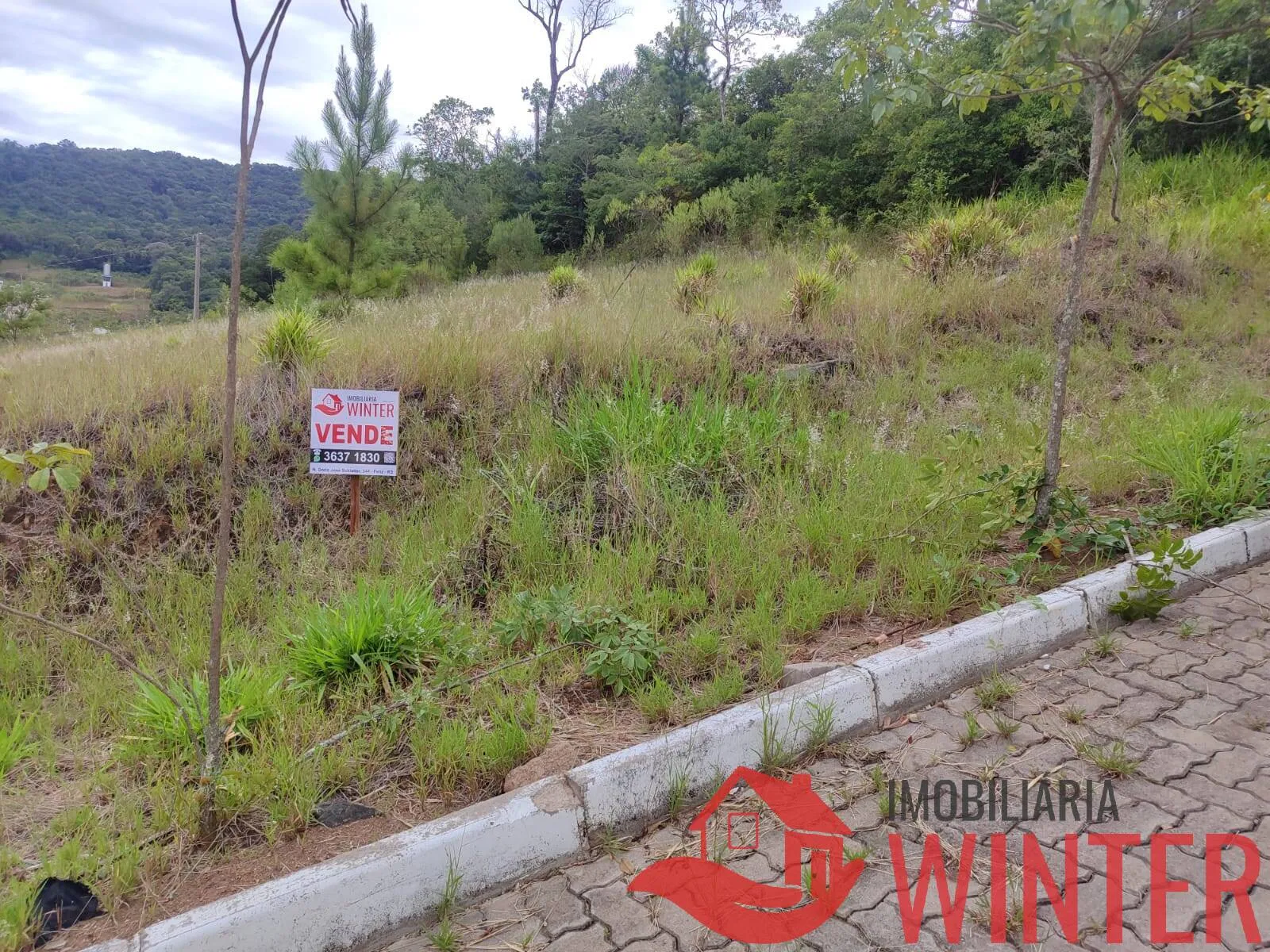 Imagem Terrenos com linda vista em Picada Cará, Feliz.