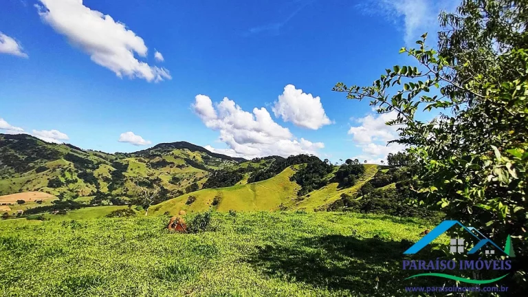 Imagem Paraíso Particular: 14,32 ha, com Vista Panorâmica e Natureza Preservada!
