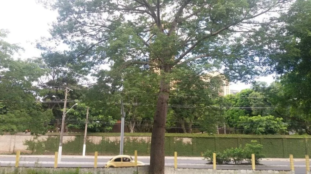 Imagem Terreno à venda 2180M², Ponte Alta, Aparecida - SP