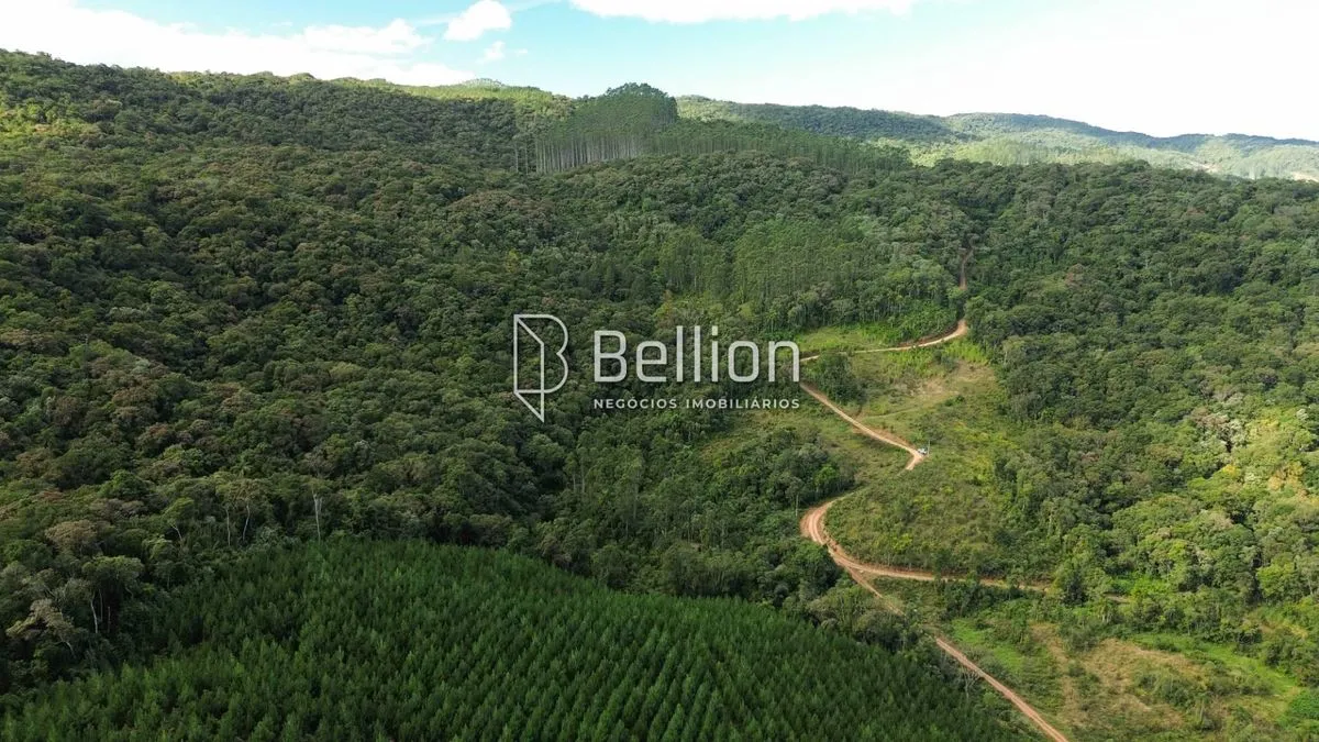 Imagem Terreno com 20.086,76m² em Ribeirão Coração, Benedito Novo