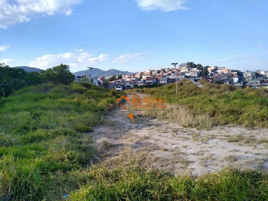 Imagem Área à venda, 39000 m² por R$ 25.000.000,00 - Parque Primavera - Guarulhos/SP