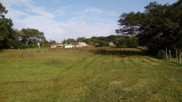 Imagem Sitio com 5.536m², mata nativa, Lagoa nos fundos, Águas Claras/ Viamão