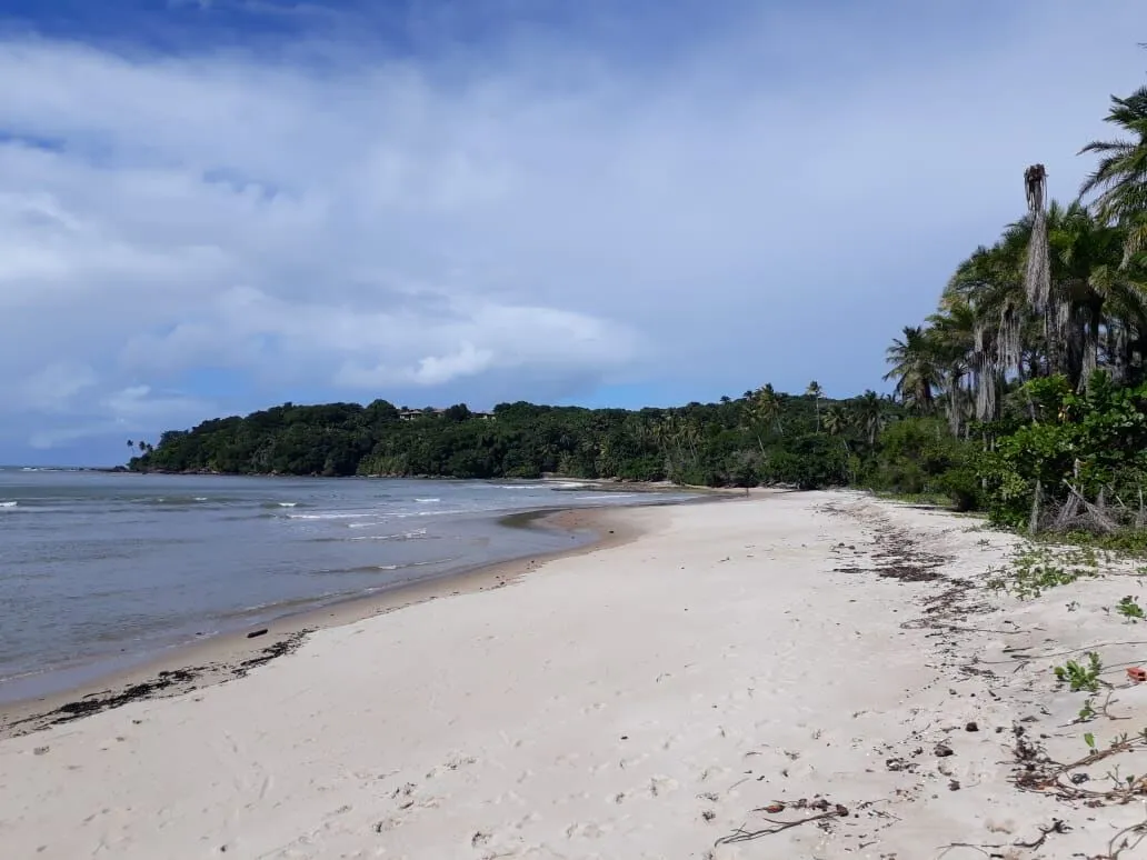 Imagem Oportunidade única: Área de Terra em Velha Boipeba, Cairu - confira!