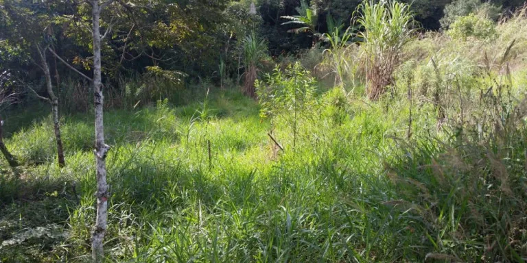 Imagem Chácara com 1 Quarto à Venda, 2.600 m² em Centro - Santa Isabel