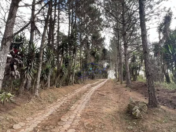 Imagem Excelente Área para Incorporação ou Chácara 18.455 m²