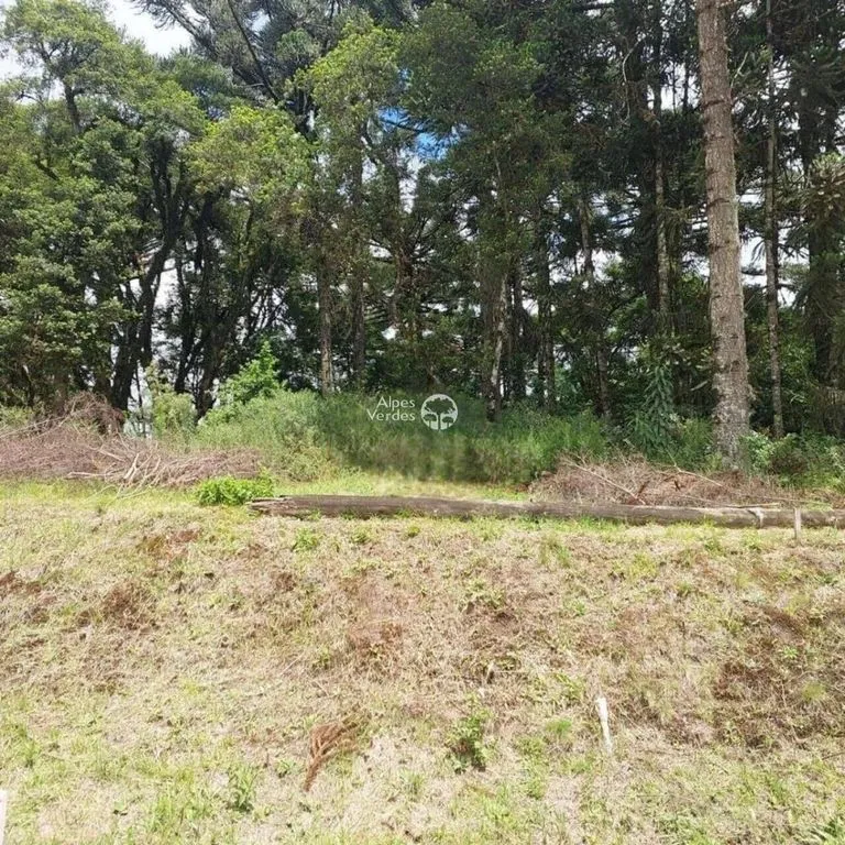 Imagem Terreno à venda no bairro São Luís em Canela - Lote 37 / Área de 553,55m2