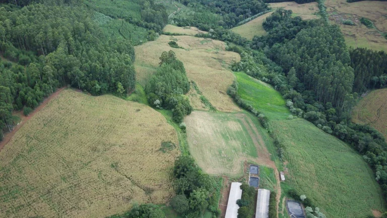 Imagem Área Agrícola para Venda em Três Arroios, Rural