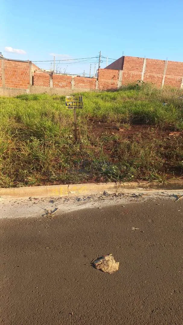 Imagem Terreno Padrão