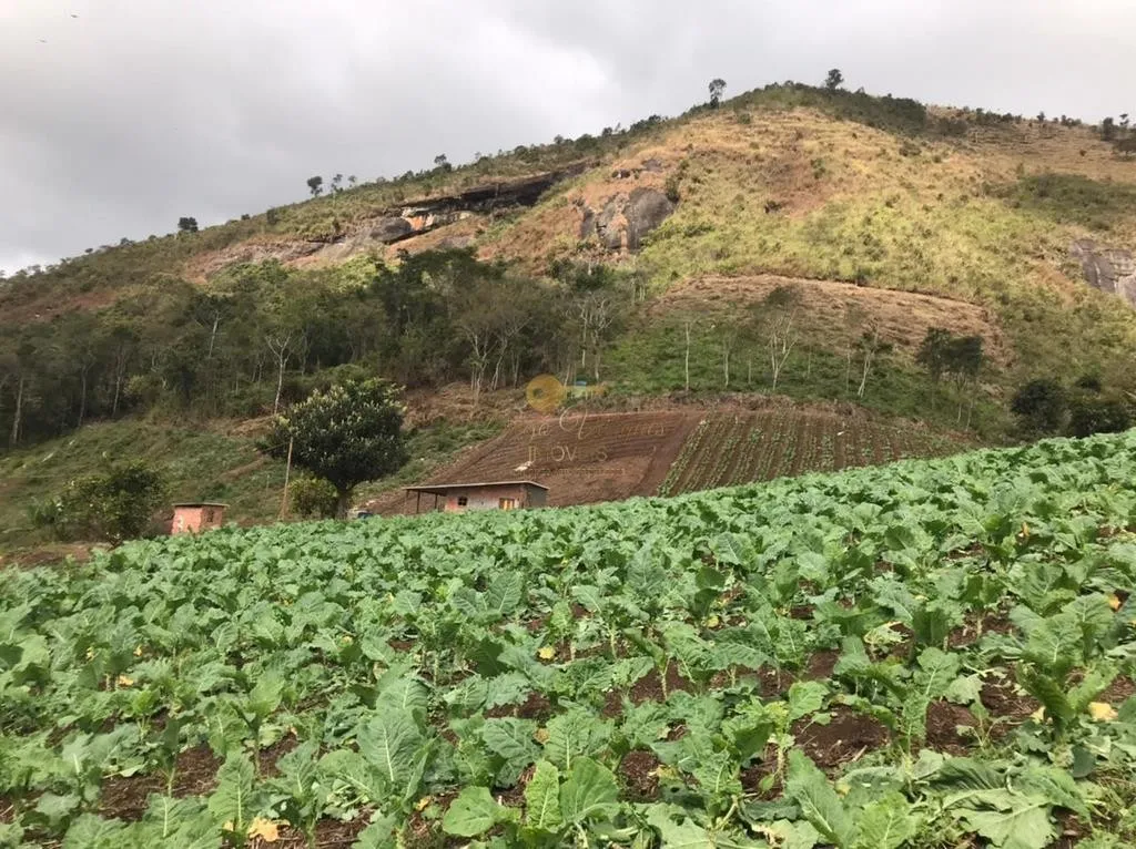Imagem Terreno para Venda em Nova Friburgo / RJ no bairro Centro