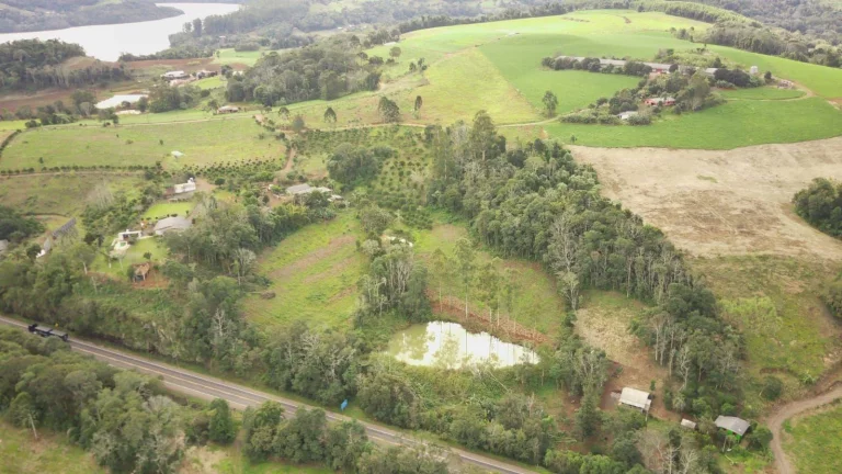 Imagem Área Agrícola para Venda em Concórdia, Rodovia