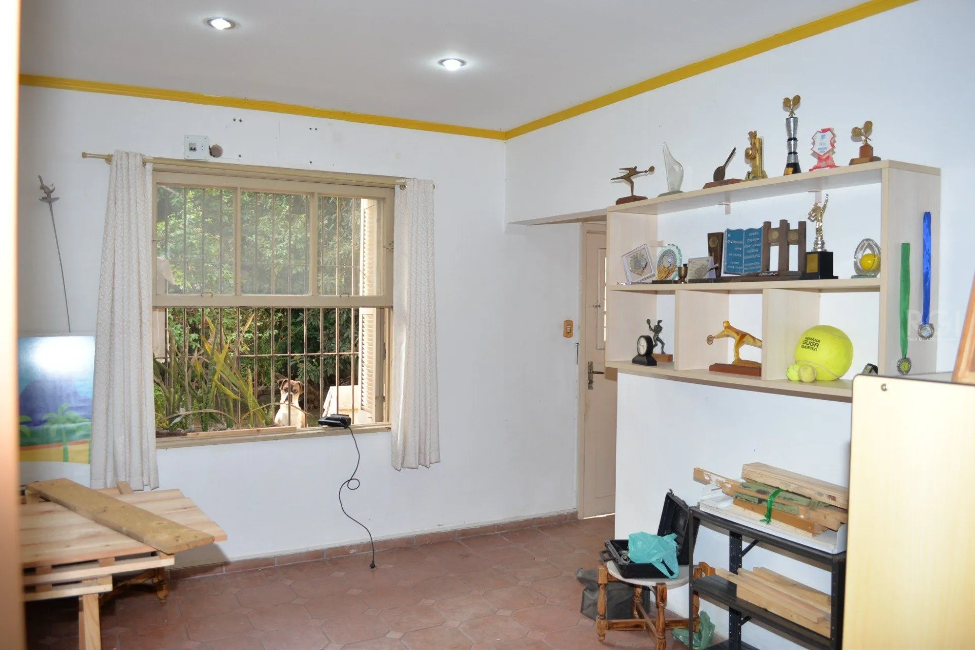 Imagem Prédio com Loja e 3 apartamentos - 470.08m², Floresta