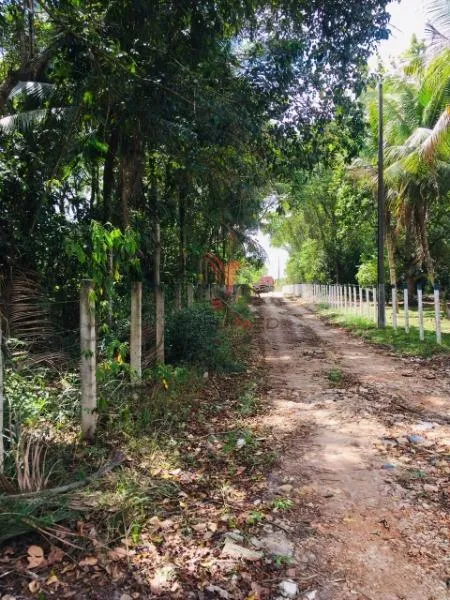 Imagem Casa 3 dormitórios 1 suíte 140000m² 4 vagas Municipios Santa Rita/PB