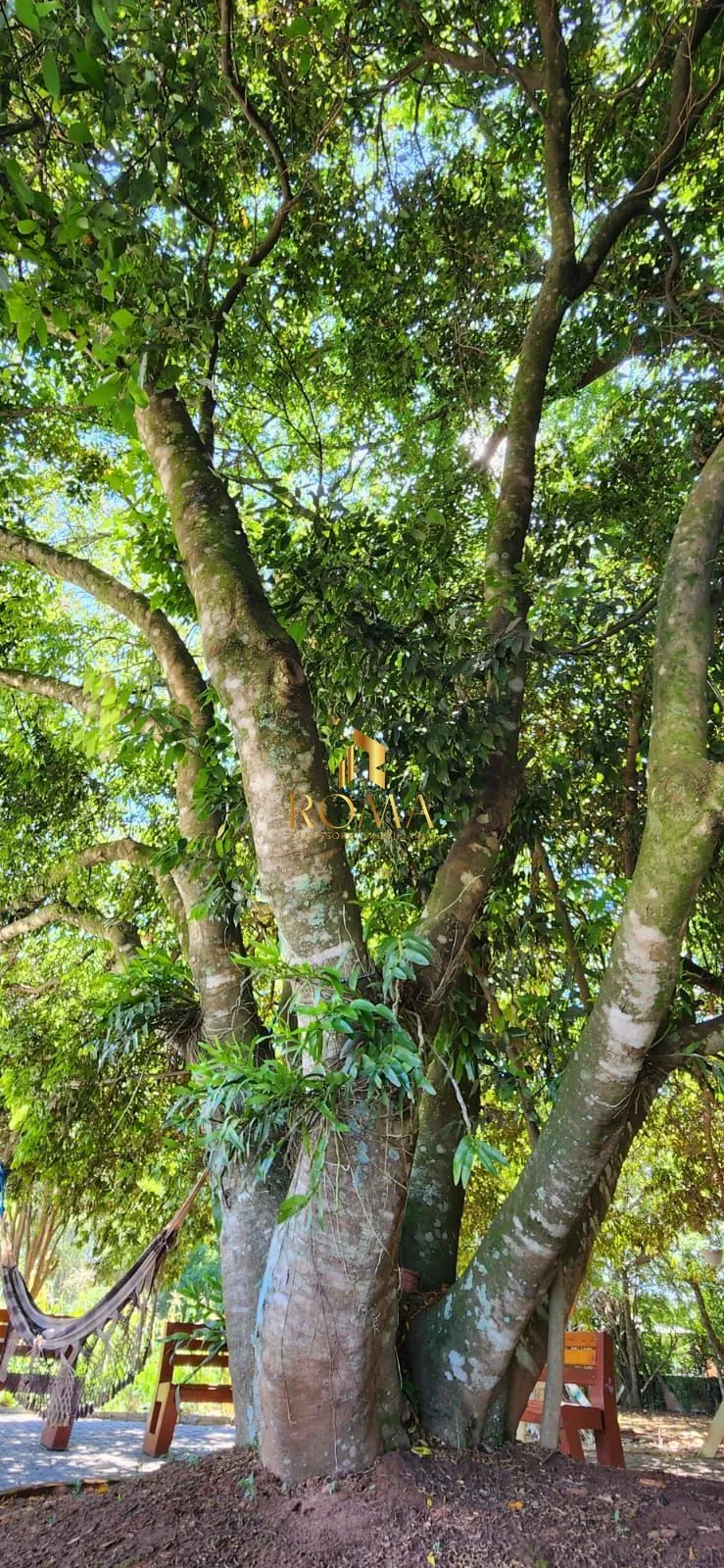 Imagem Sítio 3 dormitórios à venda Pains Santa Maria/RS