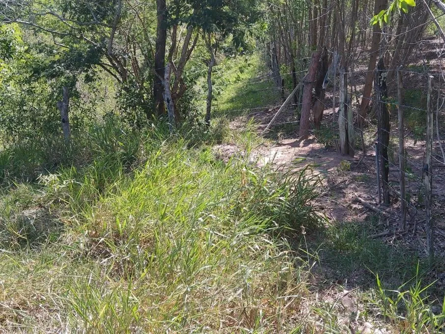 Imagem Sítio Terreno Rural Itaboraí - RJ - Curuzu (Cabuçu)