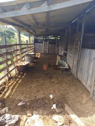 Imagem Chácara com 4 dormitórios à venda, 18393 m² por R$ 800.000,00 - Pedra Bela - Pedra Bela/SP