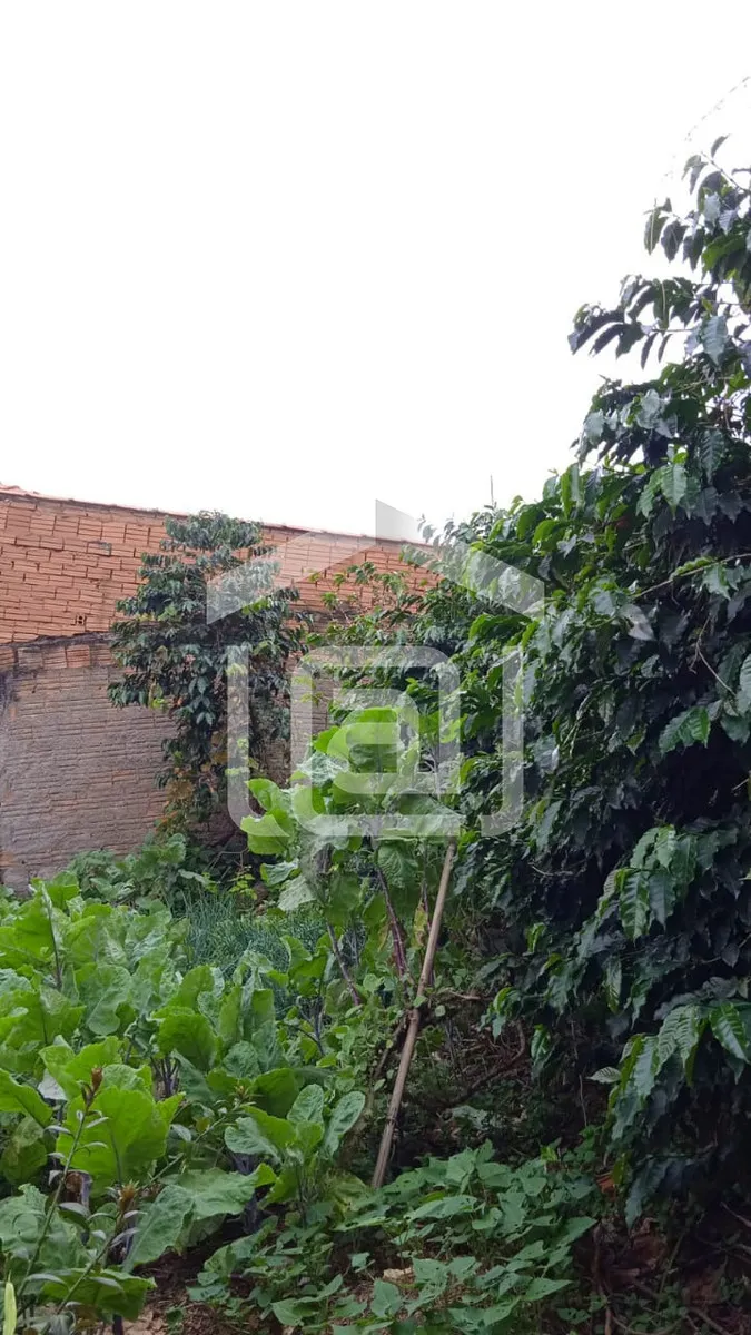 Imagem Casa 3 quartos à venda em Jardim Eldorado, Botelhos