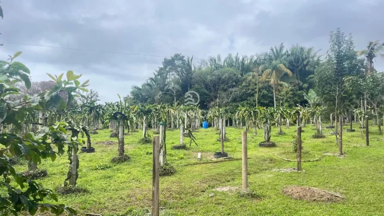 Imagem Sítio Alto Padrão 68.000m²