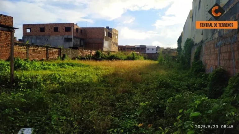 Imagem TERRENO EM ABRANTES